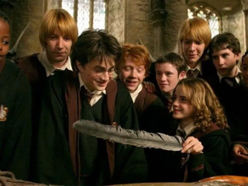 A Harry Potter reunion might be in the works!
