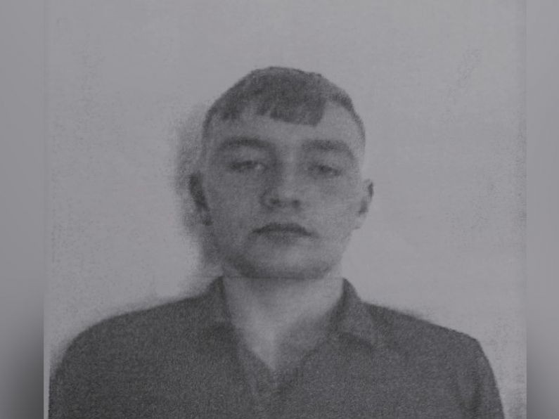 Appeal for missing teenager (16) from Wexford