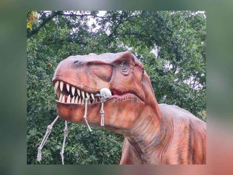 'Wicked Walk' to launch at Kilkenny's Jurassic Newpark this Halloween