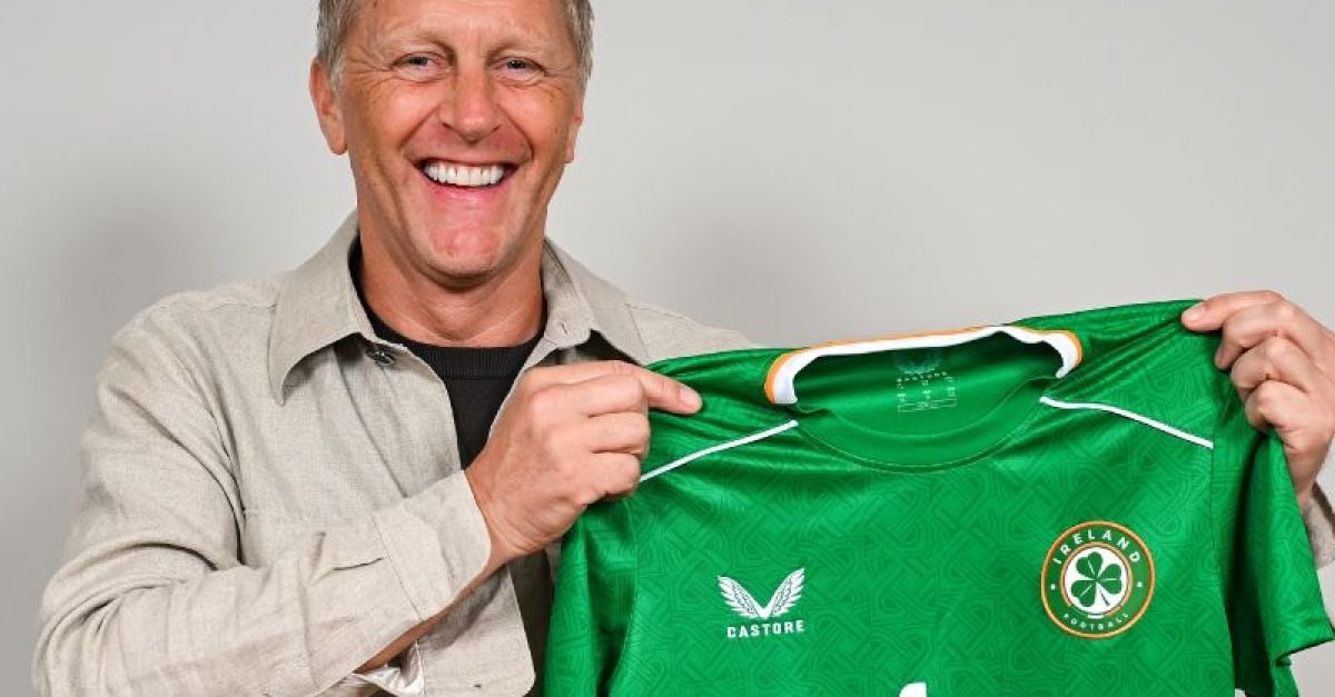 Heimir Hallgrímsson unveiled as the Ireland football manager | Beat102103.com