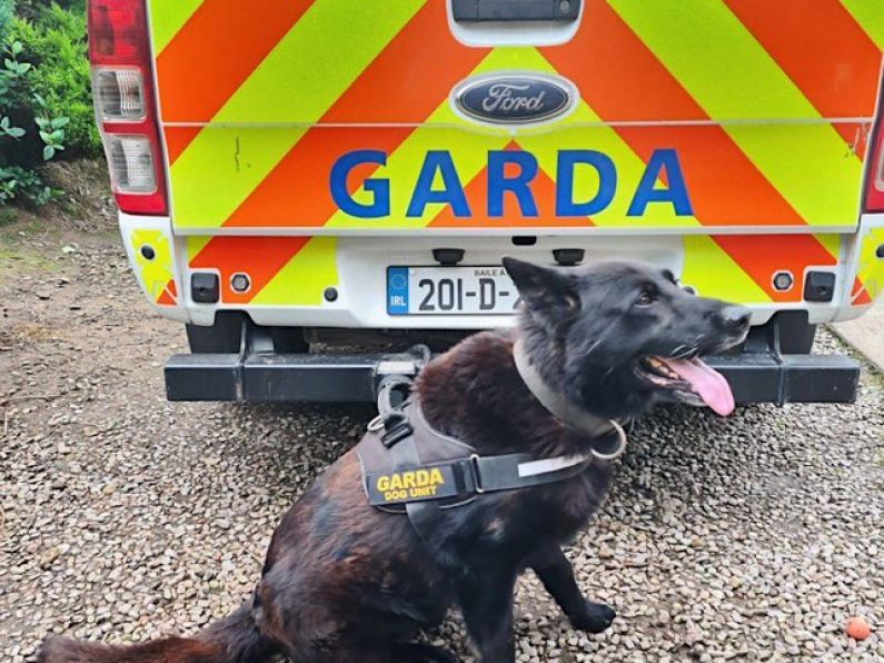 Watch: Garda dog retires after a decade of service