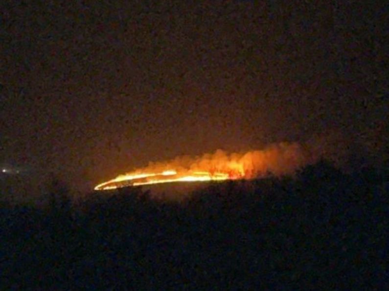 Fire crews battle significant blaze on Mount Leinster