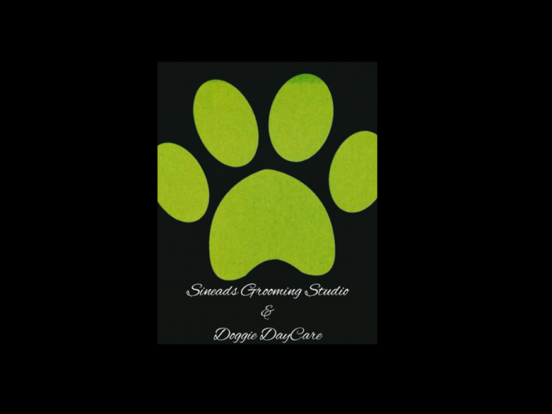 Sineads Grooming Studio & Doggie Daycare - Daycare Assistants