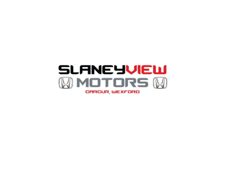 Slaney View Motors - Qualified Motor Technician
