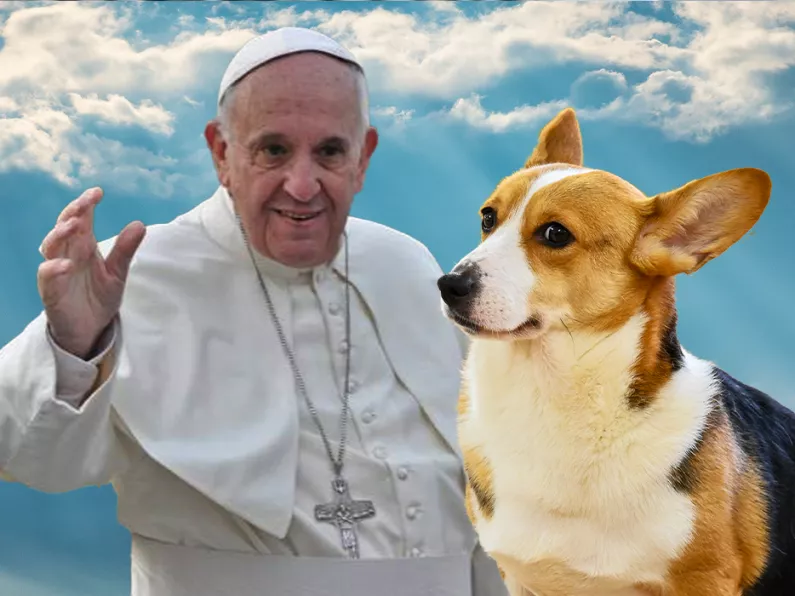Pope calls people who choose pets over children 'selfish'