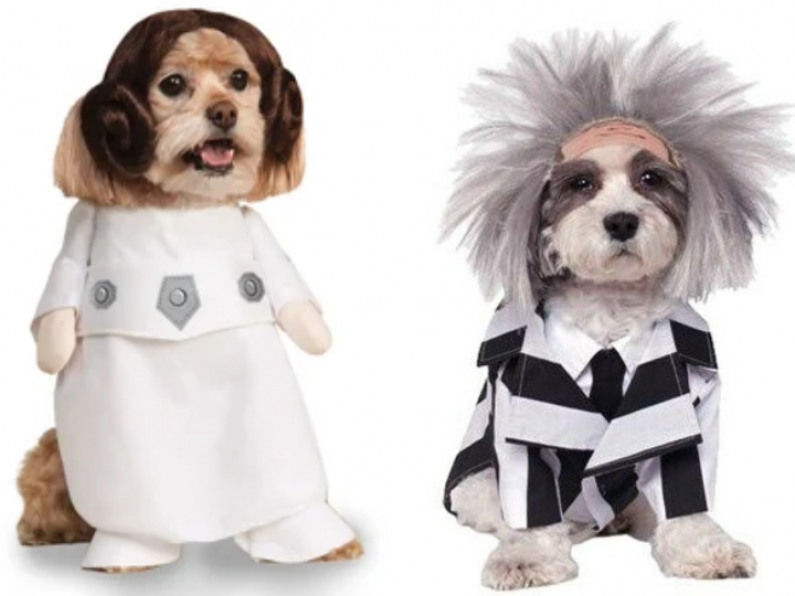 Best Hallowe'en costumes for your pet