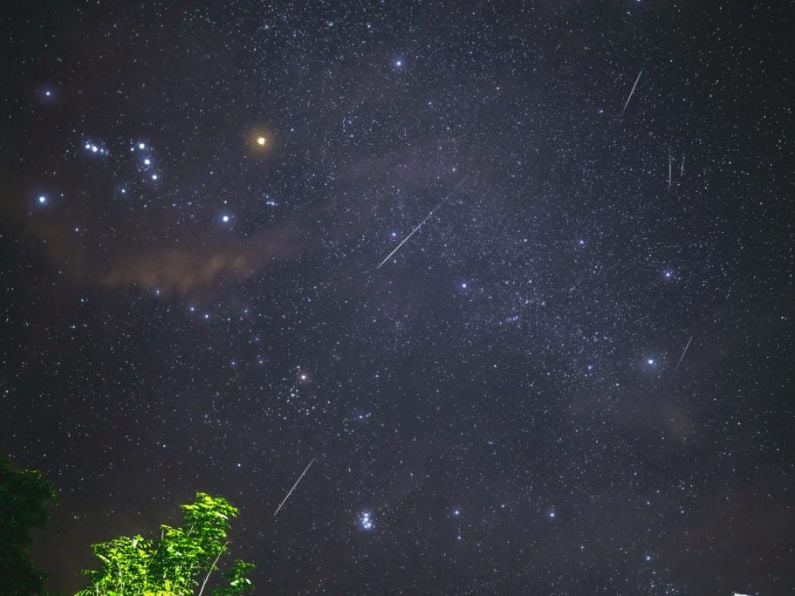 Meteor shower to light up skies across the South East tonight with 'green-coloured fireballs'