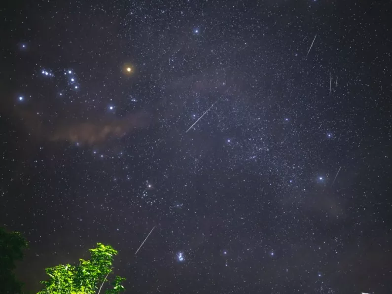 Meteor shower to light up skies across the South East tonight with 'green-coloured fireballs'