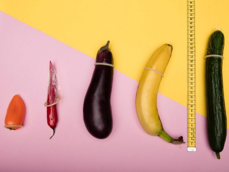 Does size matter? Survey reveals the truth about penis preferences