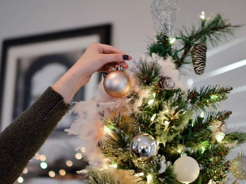 Irish company launch 'Rent a Tree' service for Christmas