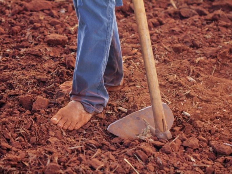 The 2023 Irish Farmer calendar is here