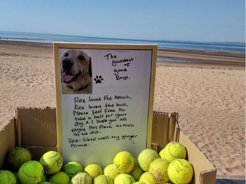 Free tennis balls left on beach in memory of the 'goodest of good boys'