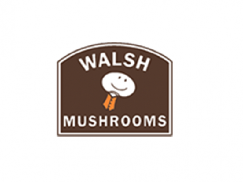 Walsh Mushroom - HGV Driver