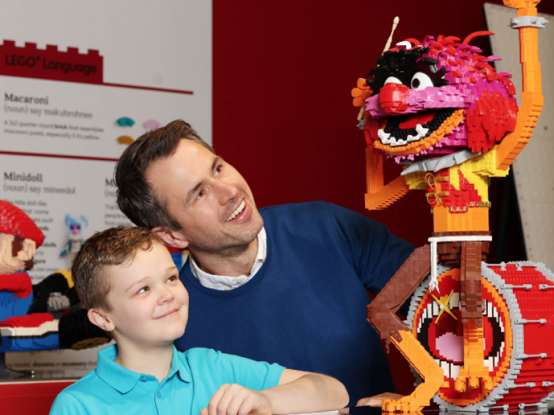 Waterford's Finn Ryan first to experience new Lego Bricktionary exhibit