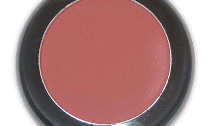 Make Up Store Blush in Fresh Needs a Light Hand!