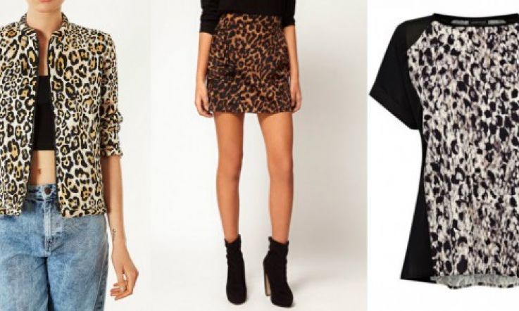 G-RAWR-geous! Embrace your inner Bet Lynch with leopard print