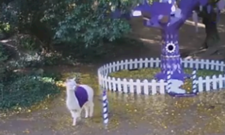 Watch: How frickin' adorable is this Cadbury viral?