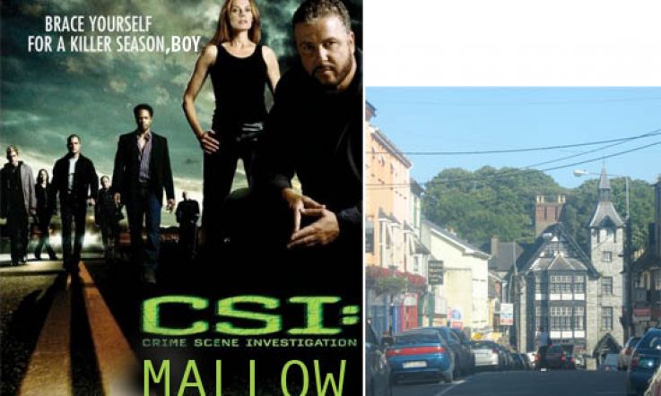Fantasy Friday imagines ... the CSI Mallow plotline