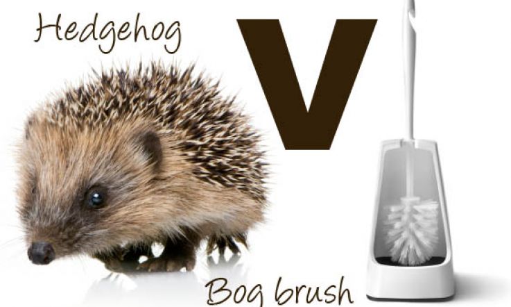 Do Tell: Are You a Hedgehog or a Bog Brush?