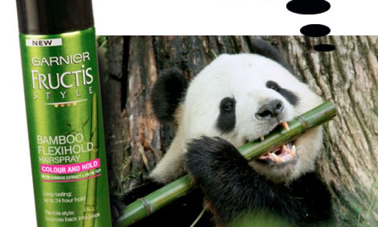 Student Style: Garnier Fructis Bamboo Flexihold Hairspray