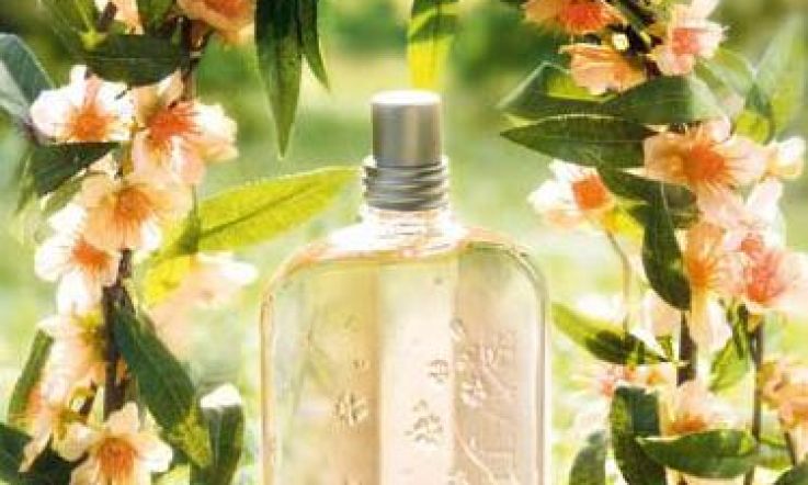 New from L'Occitane - Peach Blossom collection