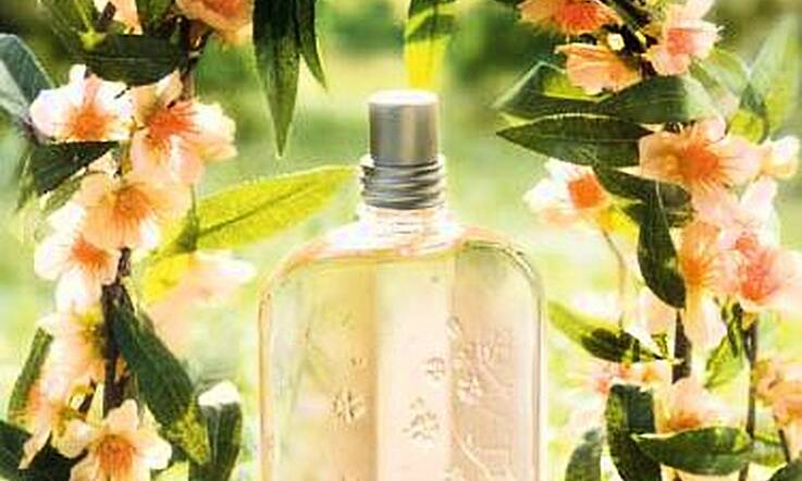 New from L'Occitane - Peach Blossom collection