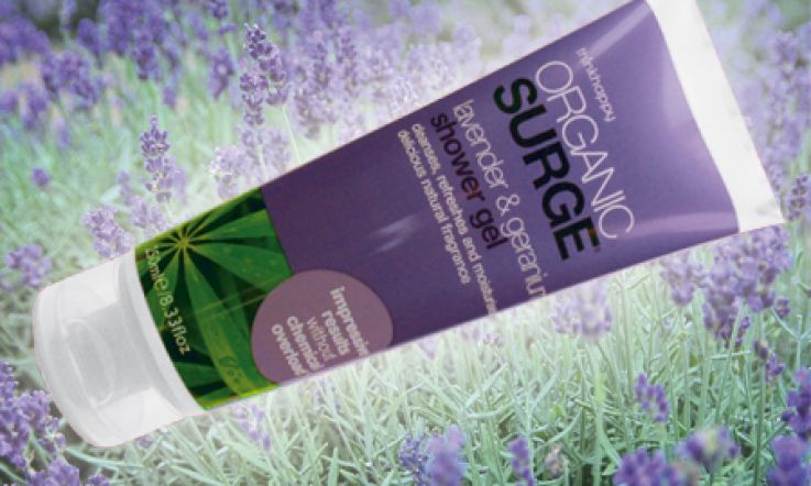Lovely Lavender from Organic Surge