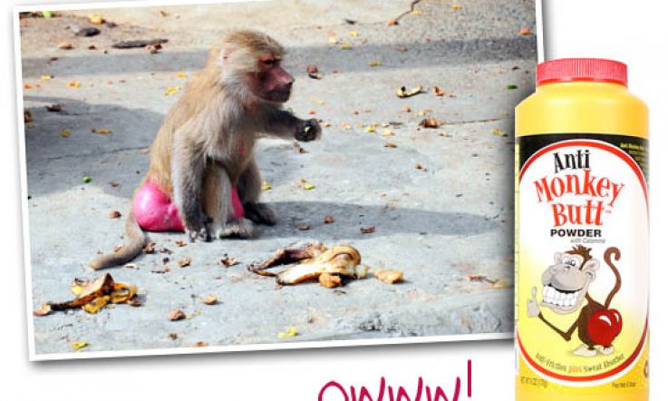 Banish Baboon Arse With Antimonkeybutt Powder: Mmm, Why that's Delightful!