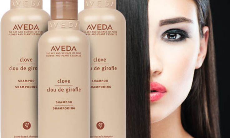 Aveda Clove Shampoo Review: Keeping Brunette Hair Beautiful