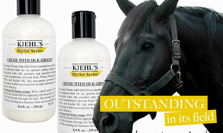 Kiehl's Creme with Silk Groom - Great if You Can Get to it!