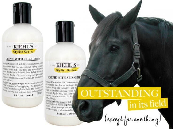 Kiehl's Creme with Silk Groom - Great if You Can Get to it! | Beaut.ie