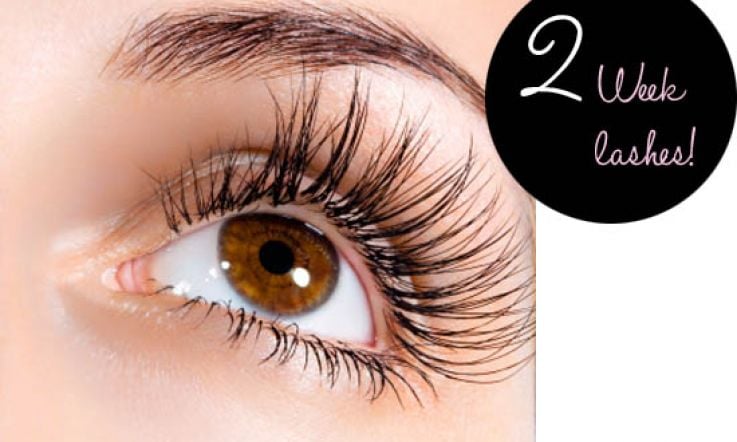 Tried & Tested: 2 Week Lashes Review
