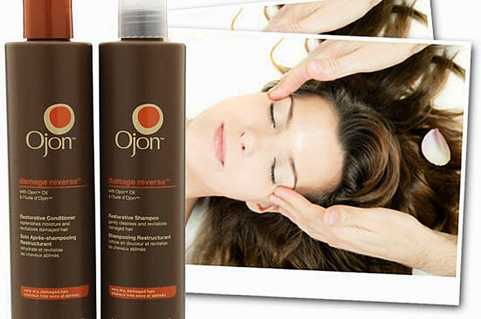 Ojon conditioner cheapest