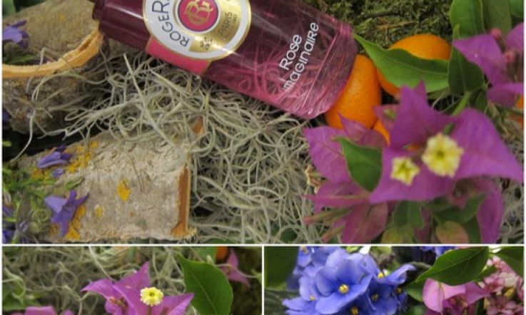 WARNING: This post has the most gorgeous pix EVER! Roses from Roger & Gallet, Weleda, NUXE