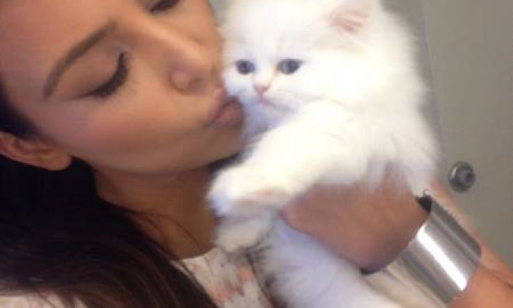 Kim Kardashian shows no Mercy as she puts down her kitten?