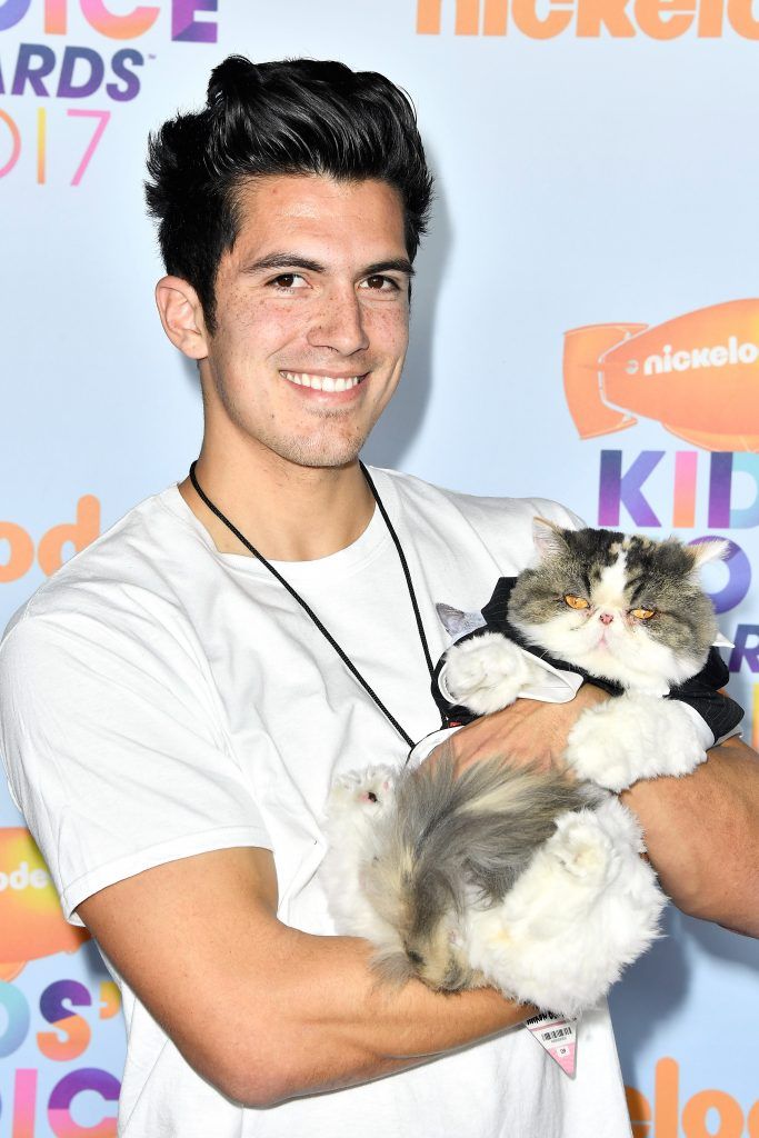 Phil the cat from Aaron's Animals with owner Aaron Benitez at Nickelodeon's 2017 Kids' Choice Awards at USC Galen Center on March 11, 2017 in Los Angeles, California.  (Photo by Frazer Harrison/Getty Images)
