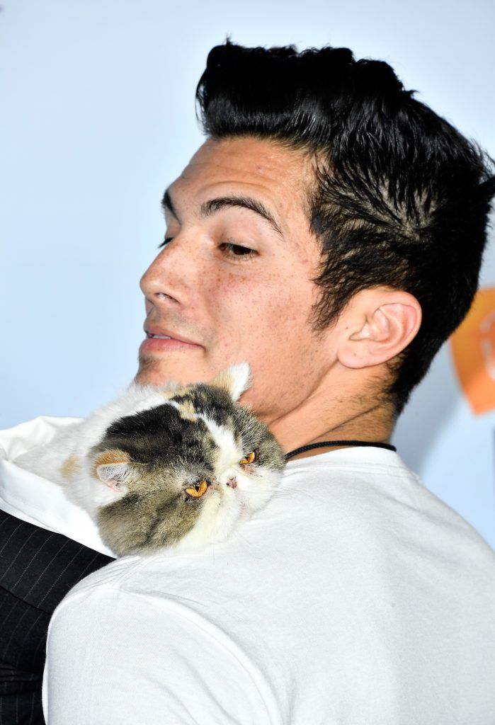 Phil the cat from Aaron's Animals with owner Aaron Benitez at Nickelodeon's 2017 Kids' Choice Awards at USC Galen Center on March 11, 2017 in Los Angeles, California.  (Photo by Frazer Harrison/Getty Images)