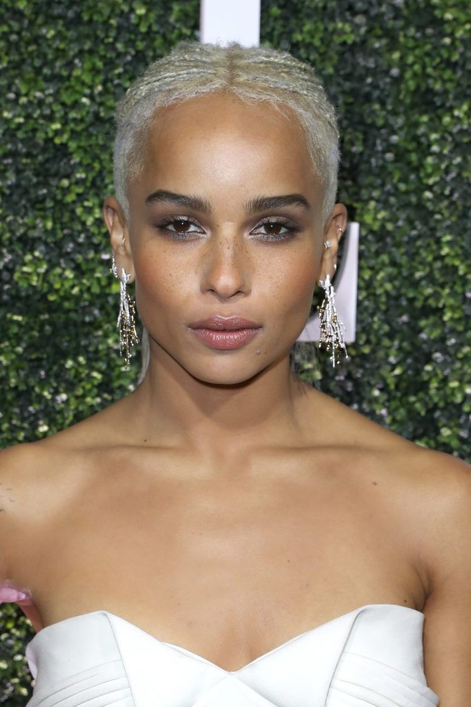 Zoe Kravitz attends the ELLE's Annual Women In Television Celebration 2017 - Red Carpet at Chateau Marmont on January 14, 2017 in Los Angeles, California.  (Photo by Jonathan Leibson/Getty Images for ELLE)