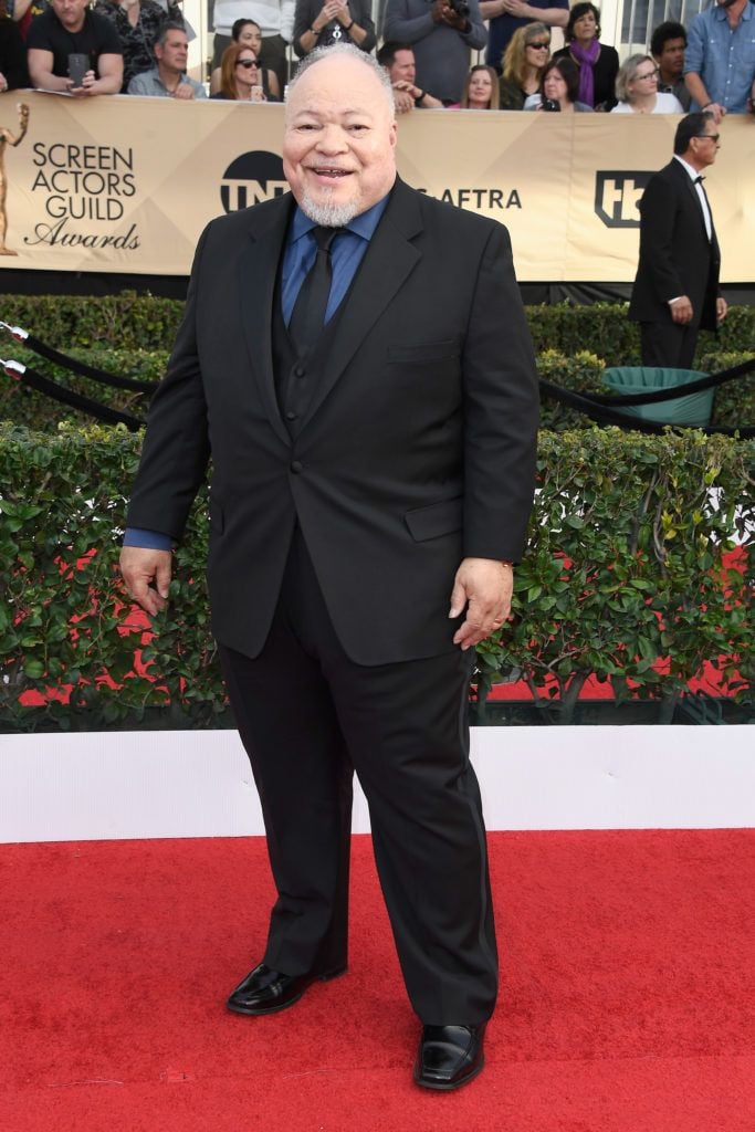 LOS ANGELES, CA - JANUARY 29:  Actor Stephen Henderson attends The 23rd Annual Screen Actors Guild Awards at The Shrine Auditorium on January 29, 2017 in Los Angeles, California. 26592_008  (Photo by Frazer Harrison/Getty Images)