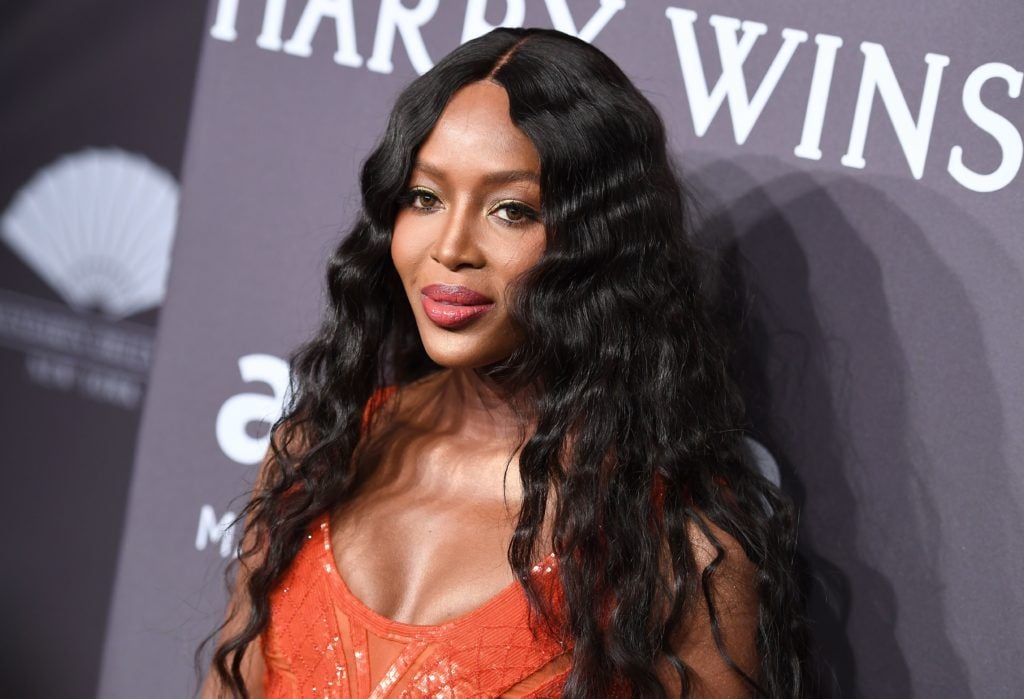 Model Naomi Campbell  attends the 19th annual amfAR's New York Gala to kick off NY Fashion Week at Cipriani Wall Street on February 8, 2017 in New York City. (Photo ANGELA WEISS/AFP/Getty Images)