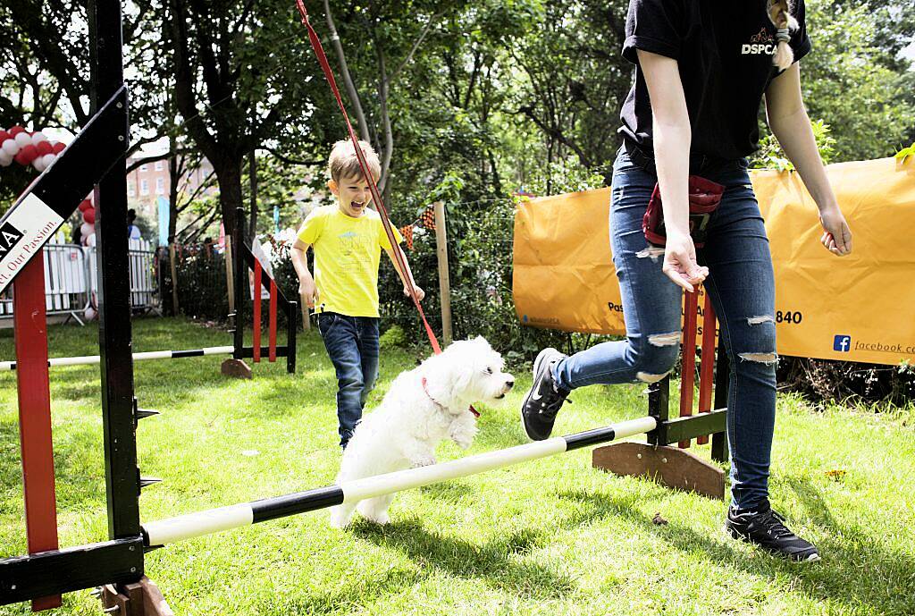 Pictured at Laya Healthcare's City Spectacular, Ireland's biggest free summer festival, in Dublin's Merrion Square. The festival took place from July 7th-9th. Photo by Evion Media