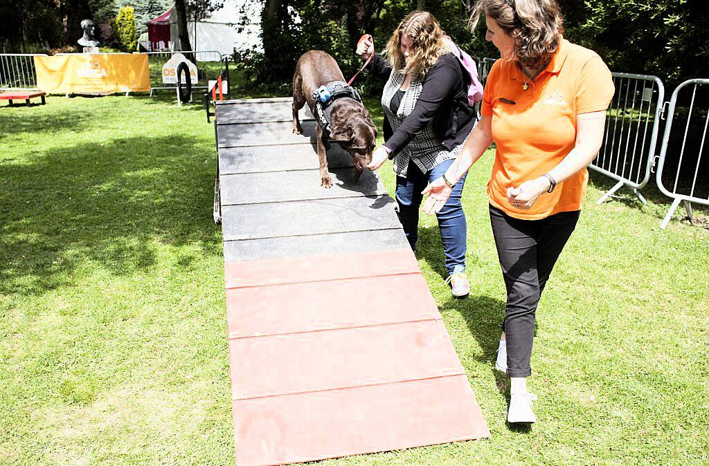 Pictured at Laya Healthcare's City Spectacular, Ireland's biggest free summer festival, in Dublin's Merrion Square. The festival took place from July 7th-9th. Photo by Evion Media