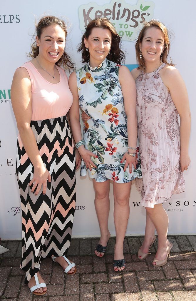 Wiebke Begere, Magda Szetela and Felicity Iliopoulls Fiona Fitzsimons and Darren Warren at the June Party in the Park at the Phoenix Park Polo Club to raise funds for the Irish Motor Neurone Disease Association. Picture by Brian McEvoy