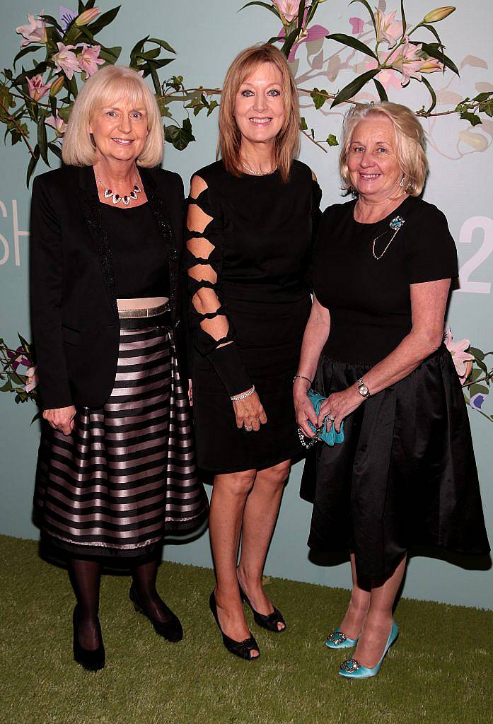 Carmel Power, Yvonne Watchorn and Mary Ward pictured at the Irish Cinema Ball at the Powerscourt Hotel in Enniskerry, Co Wicklow. Photo by Brian McEvoy