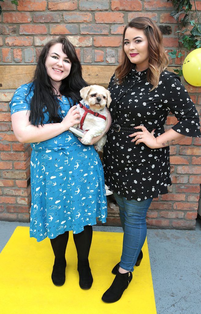 Anna Brennan and Charlotte Walker t the launch of Andrea Hayes' book Dog Tales at House in Leeson Street, Dublin. Pic: Brian McEvoy
