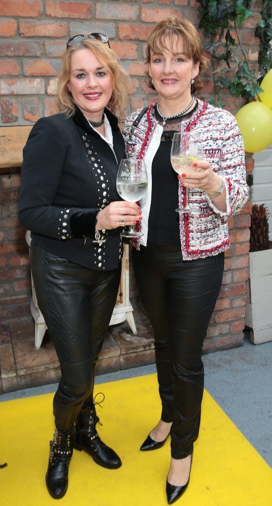 Aileen Morrin and Catherine Phelan t the launch of Andrea Hayes' book Dog Tales at House in Leeson Street, Dublin. Pic: Brian McEvoy