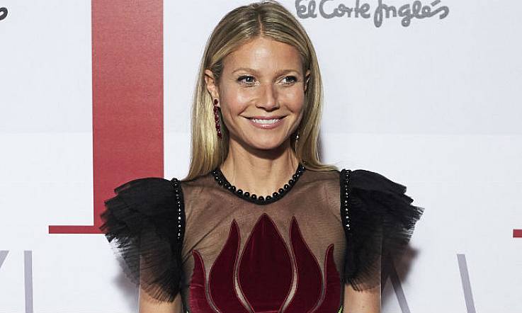 Did you see Gwyneth Paltrow's brilliantly meta Halloween costume?