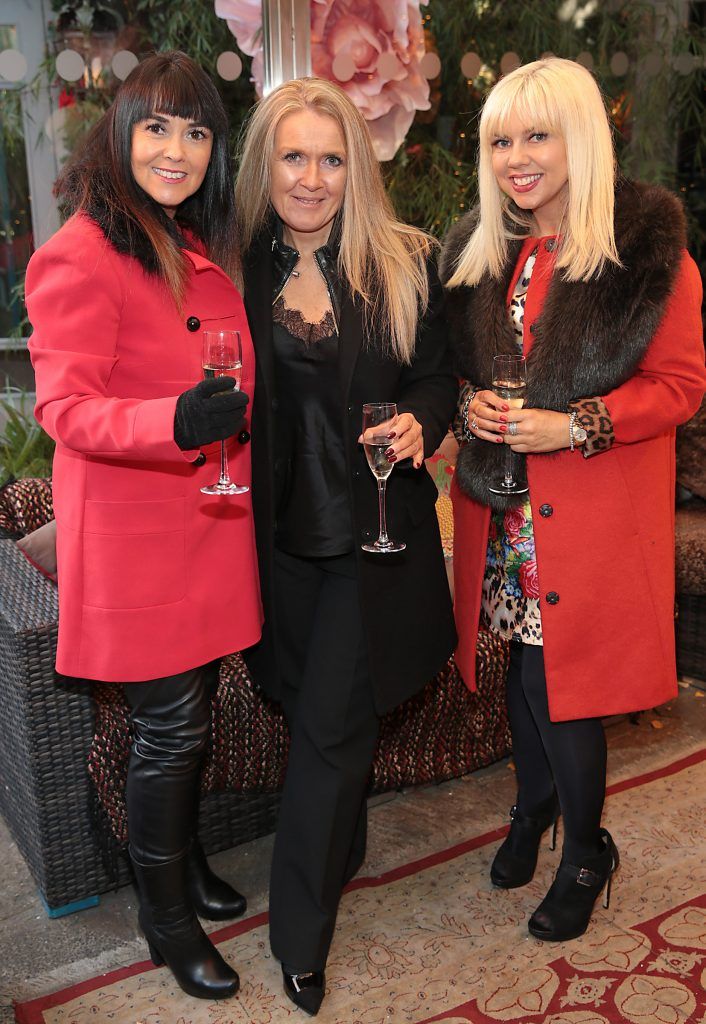 Sandra Baker, Orla Hennigan and Fiona O Neill at the Breast Cancer Ireland Christmas Lunch in Marco Pierre White, Donnybrook to raise funds for breast cancer research. Photo: Brian McEvoy