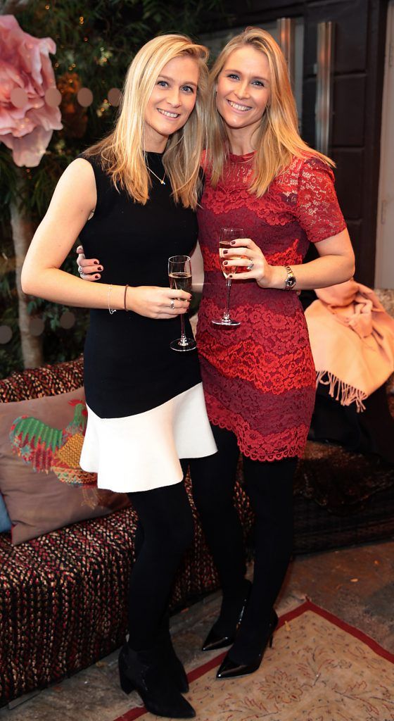 Elma Byrne  and Aine Casey at the Breast Cancer Ireland Christmas Lunch in Marco Pierre White, Donnybrook to raise funds for breast cancer research. Photo: Brian McEvoy