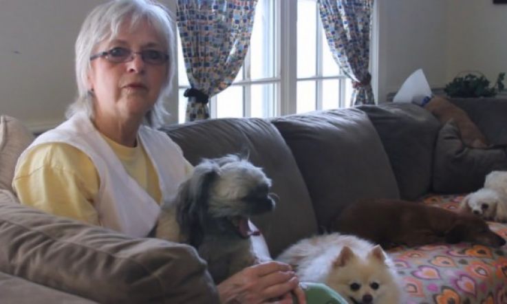 Woof! House with a Heart is an Incredible Nursing Home for Pets